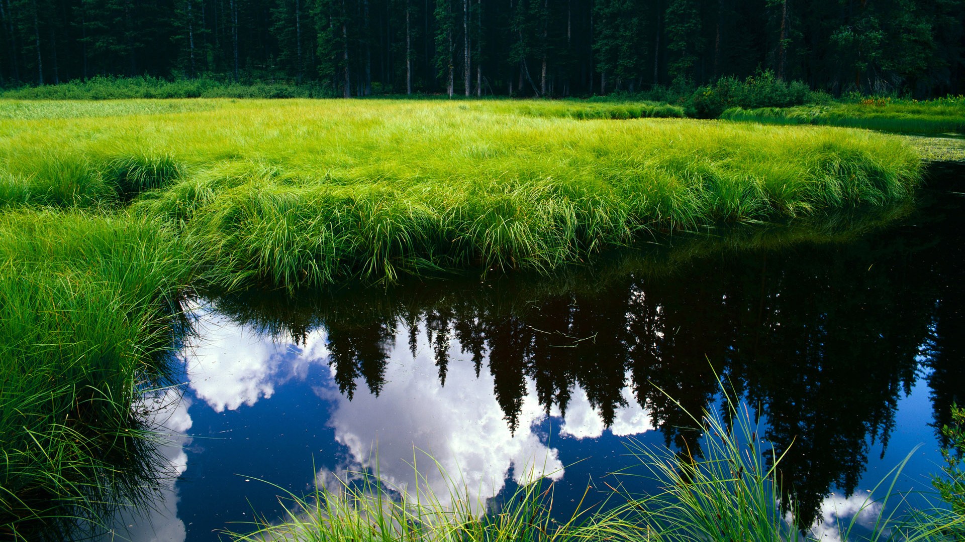 全国青少年篮球创新创业大赛激发青少年创造力与实践能力,青少年篮球赛事推广