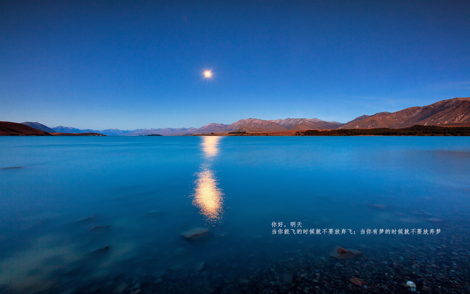 哈兰德神级表现,英超连续10场破门领跑射手榜,哈兰德联赛进球
