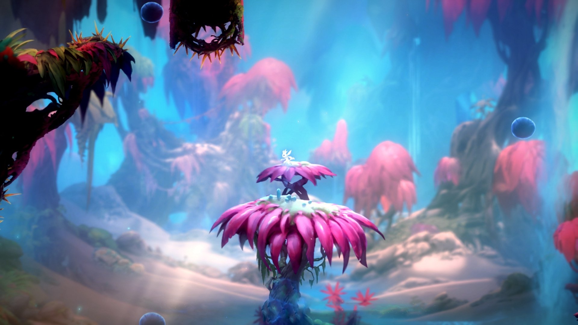 日本马术协会举办马术教练培训班,提升教练员水平。,日本马术运动员