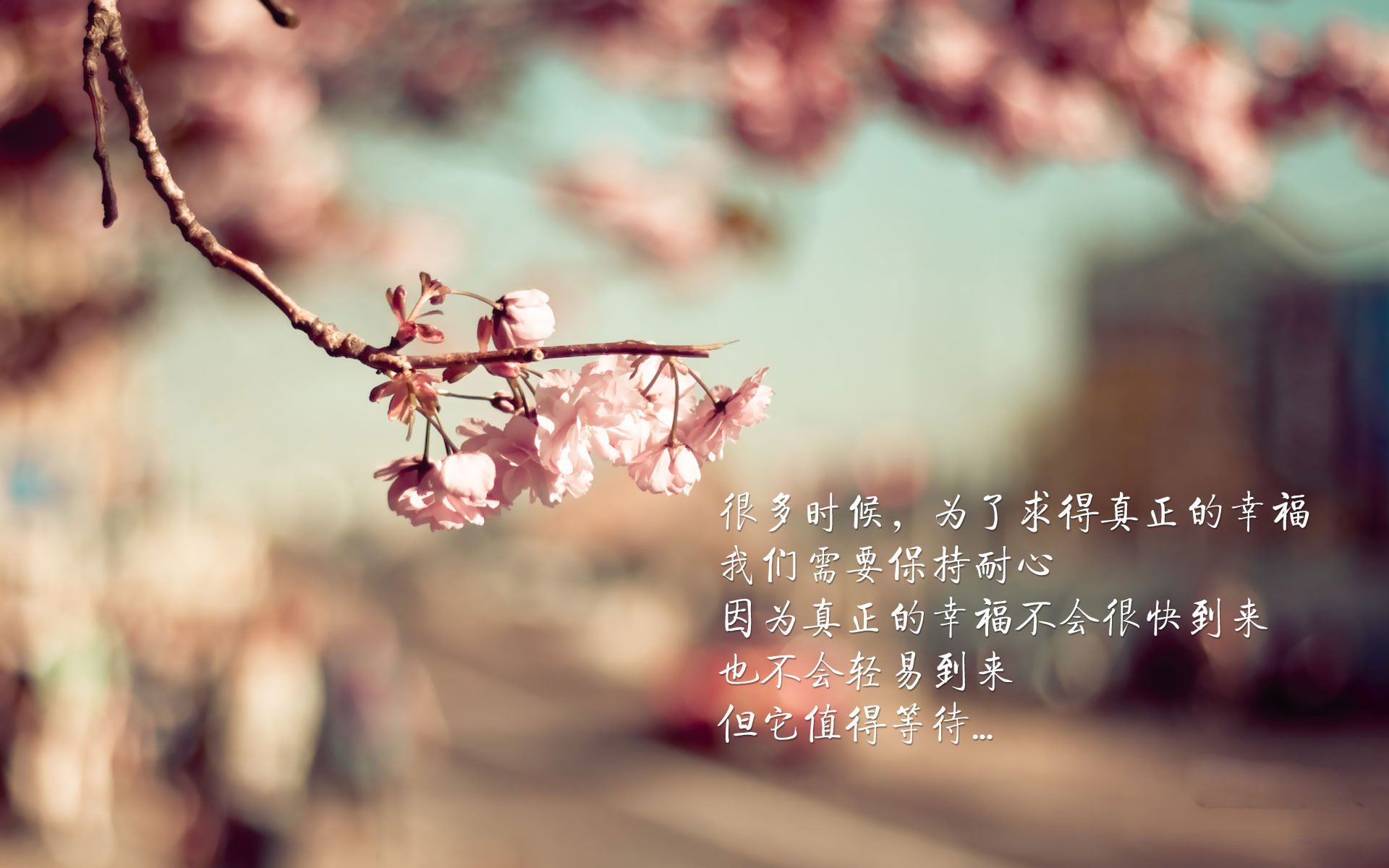 开云kaiyun-新晋足球教练打造团队，力争联赛佳绩，足球队教练团队