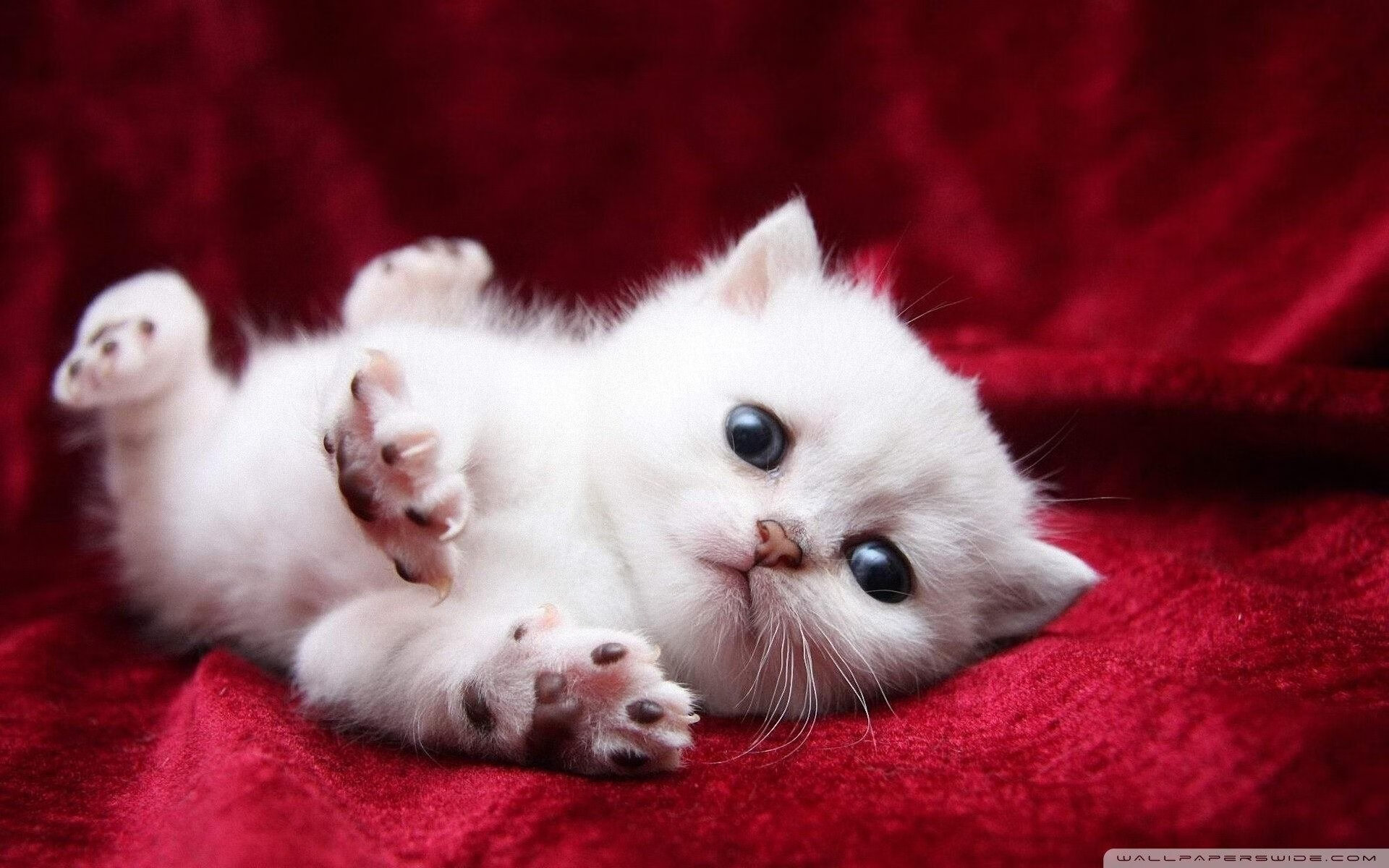 跨界融合——艺术与运动的花样碰撞大赛,艺术设计跨界融合