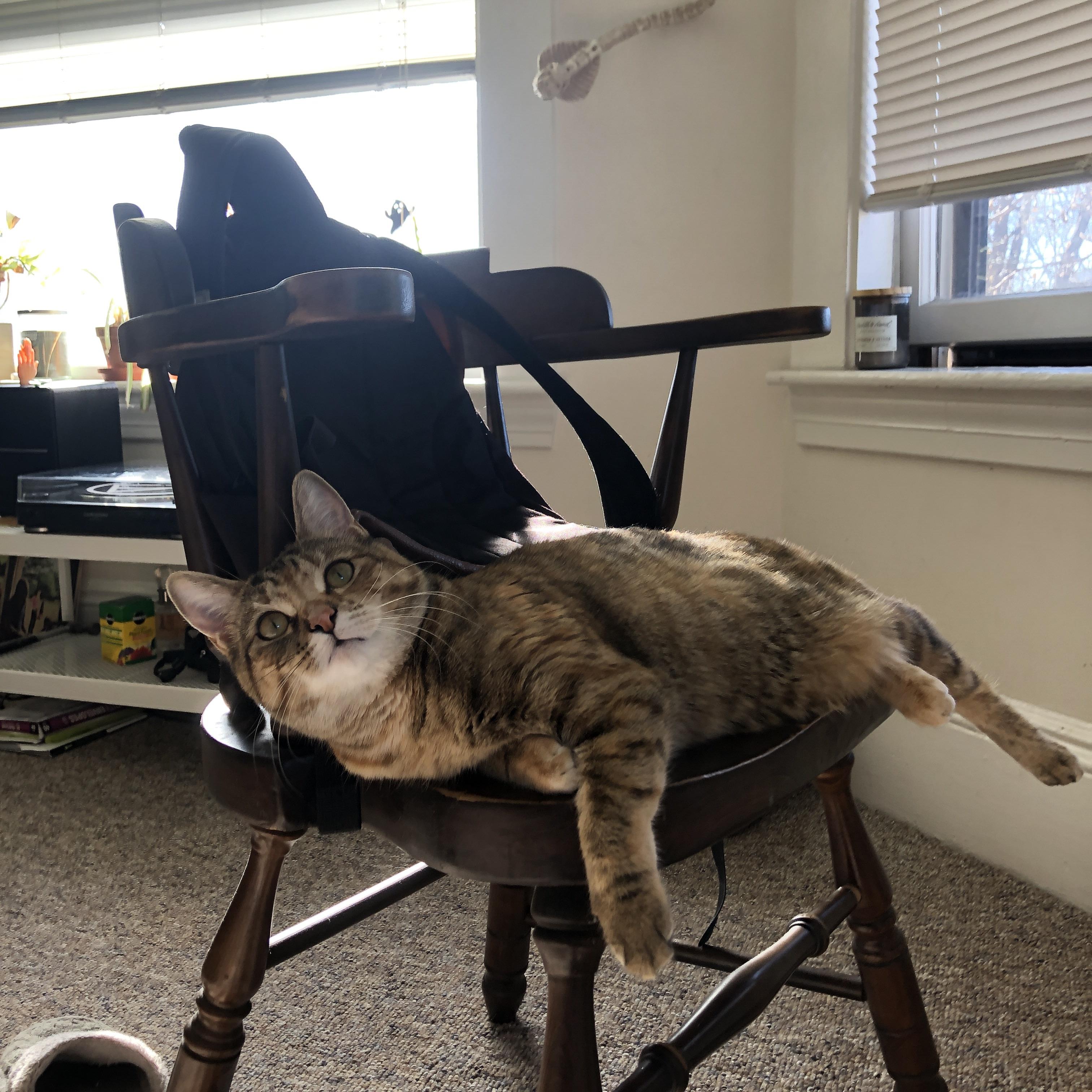 NBA总决赛西区半决赛 新秀突围,nba总决赛半场最大分差