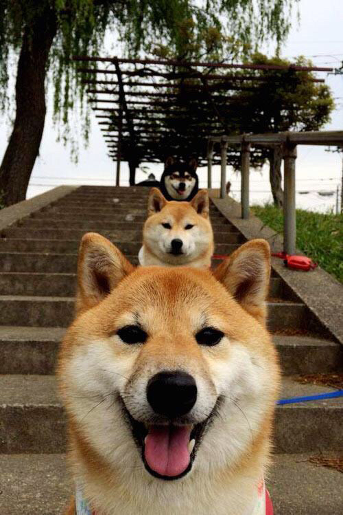 开云中国大陆-利物浦控球率高，红军力争联赛冠军，红军利物浦队歌