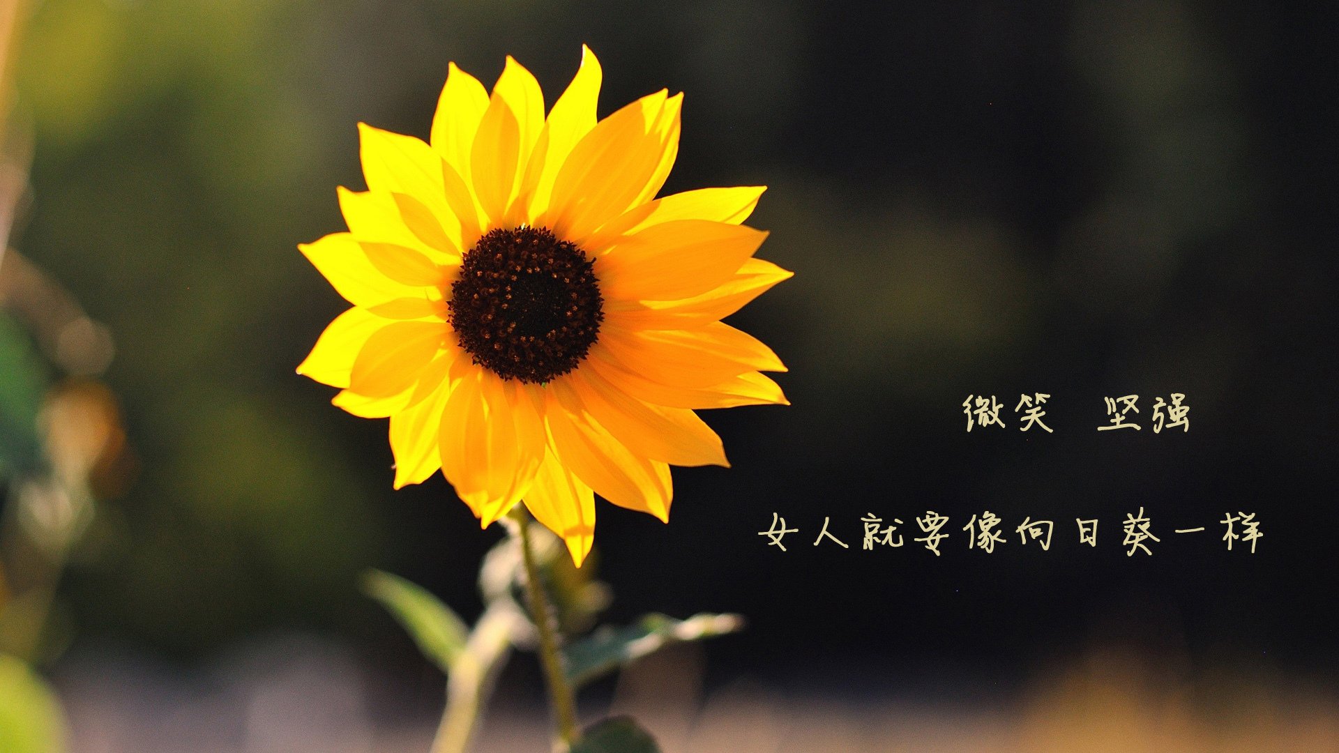 kaiyun官方入口登录-国际赛事火热进行，豪门球队展开激烈对抗，豪门球队排名