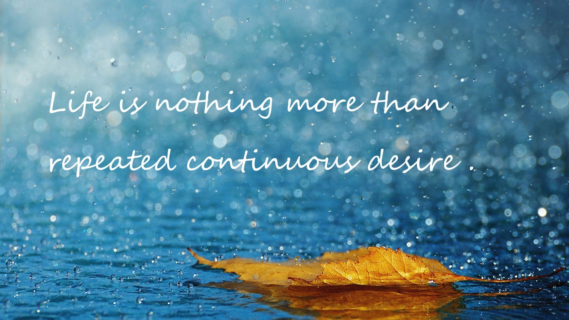 开云网页版-战队战术打法多样化趋势明显，战队打法风格