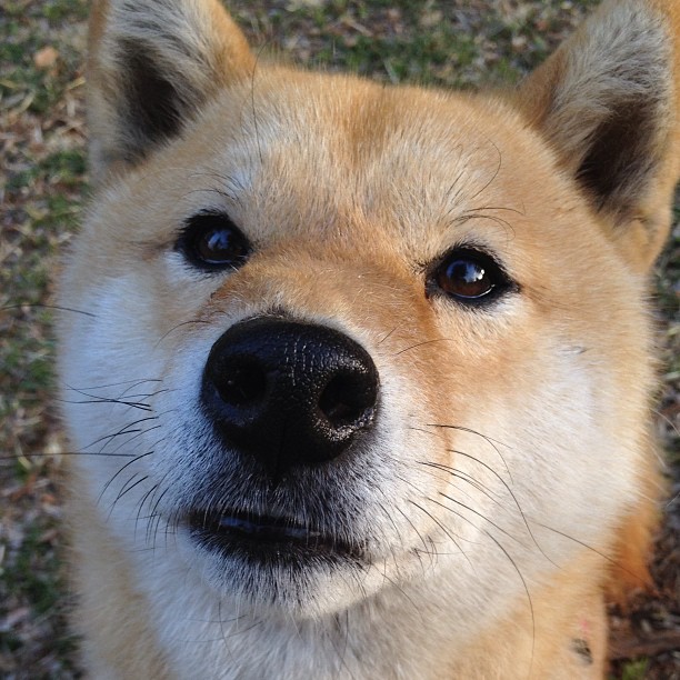 Kaiyun官方登录入口-泰国球队豪取连胜，晋级前景一片光明，泰国足球联赛球队排名