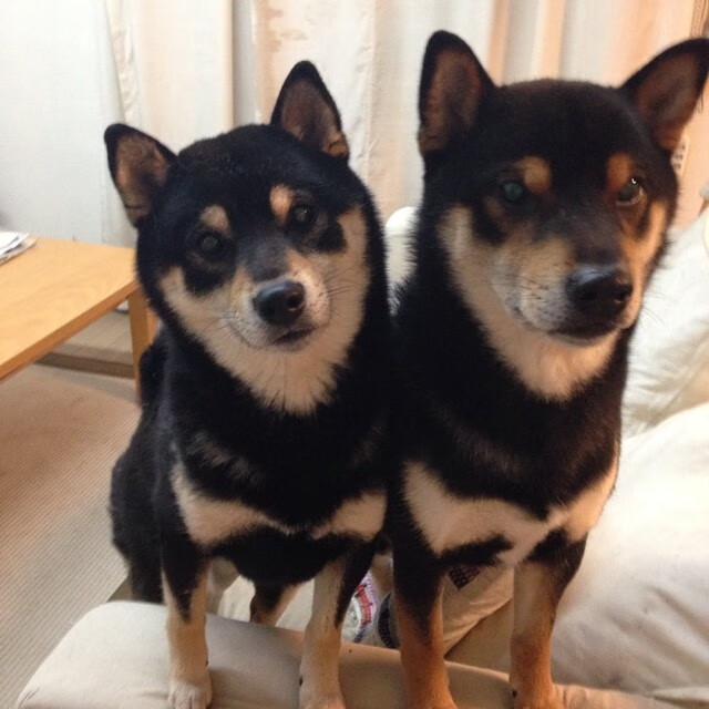 KAIYUNAPP-球队是否应设立球员文化推广部门，球队文化包括什么