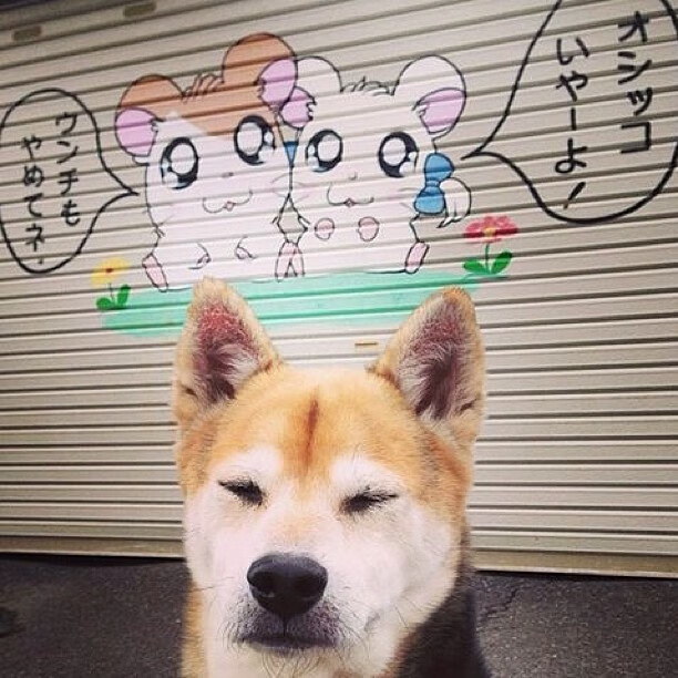 球队内部外援交流密切,战斗力迅速提升,球场外援