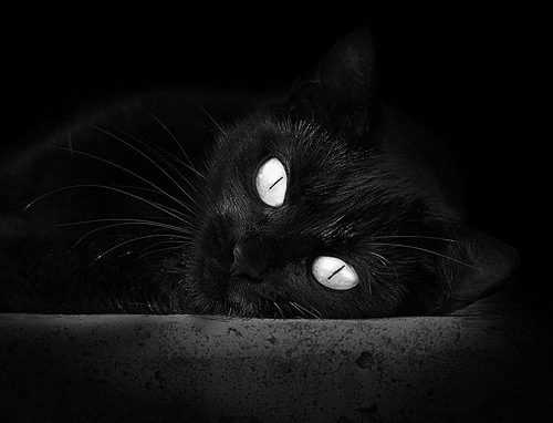 开云官方网页登录-轮休制度是否已影响球迷观赛体验，轮休cba