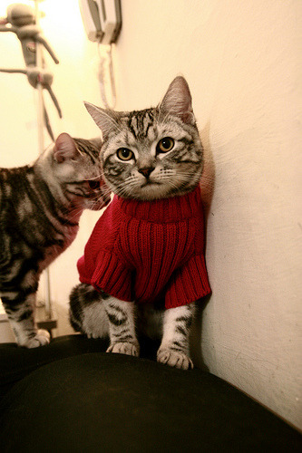 开云·Kaiyun网页版-重庆斯威客场击败河南建业，中超冲劲足，重庆斯威阵容