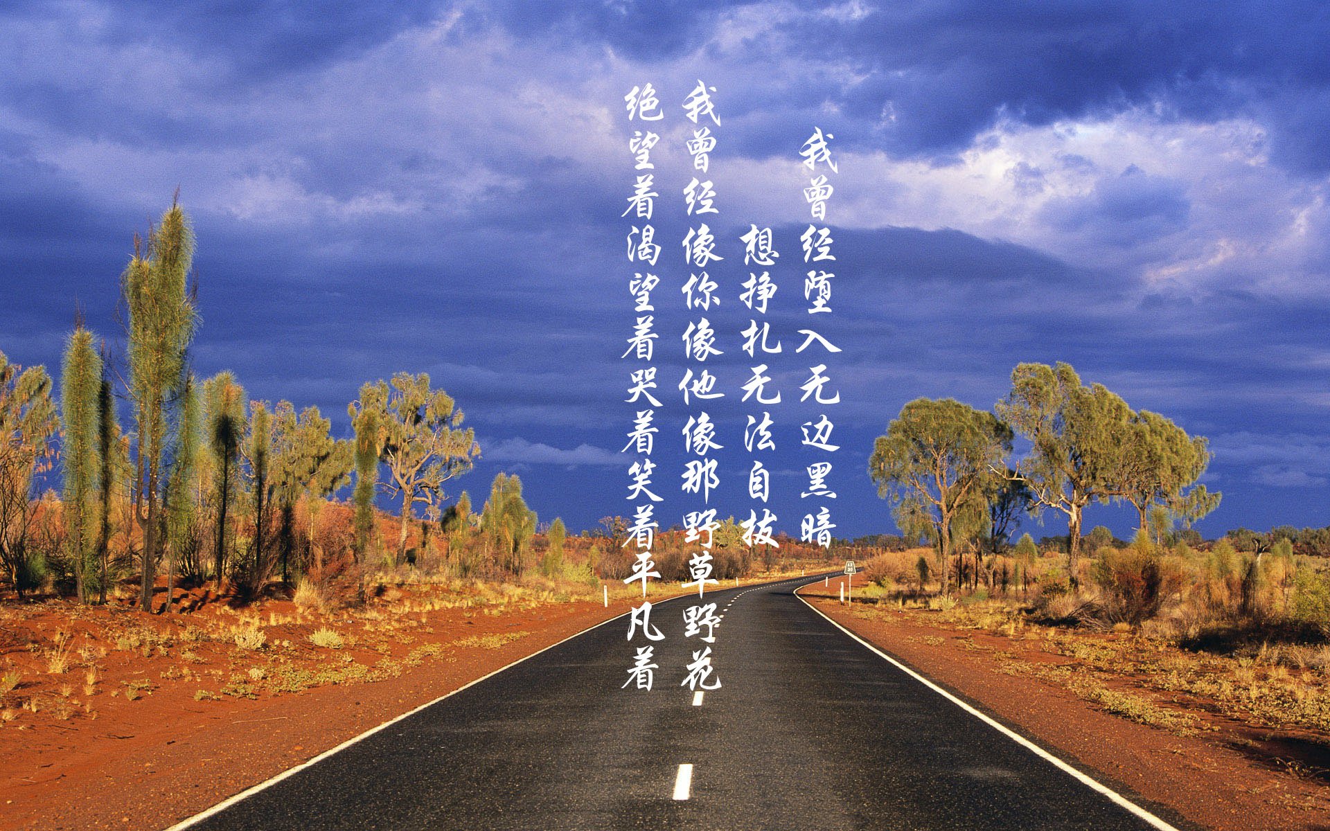 阿森纳主场3-0大胜诺丁汉森林,晋级欧冠,阿森纳 edu