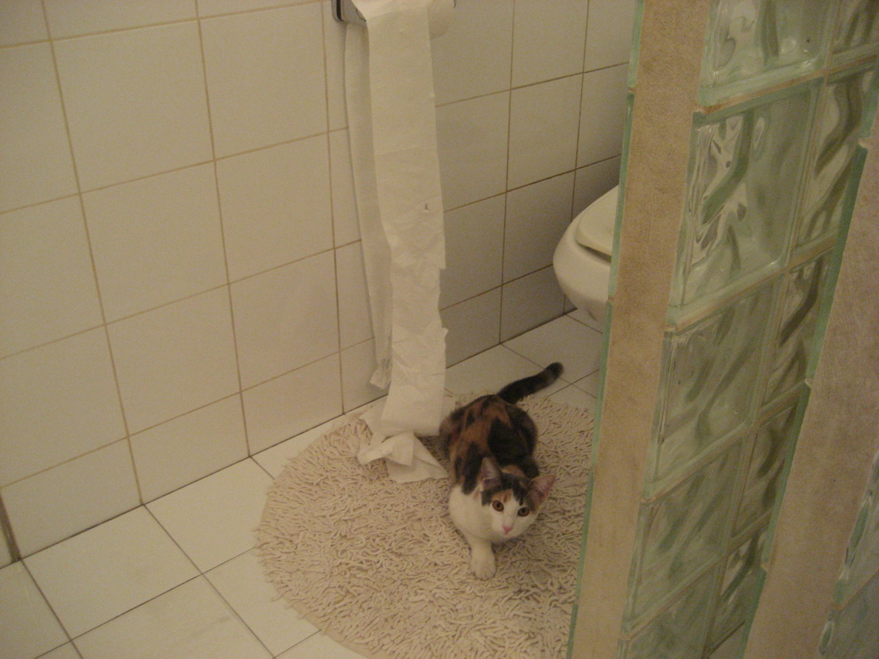 青少年训练规划是否系统,青少年训练长期发展规划