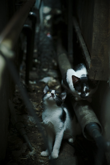 中超球员反击起速与推进路线分析,中超防守反击球队