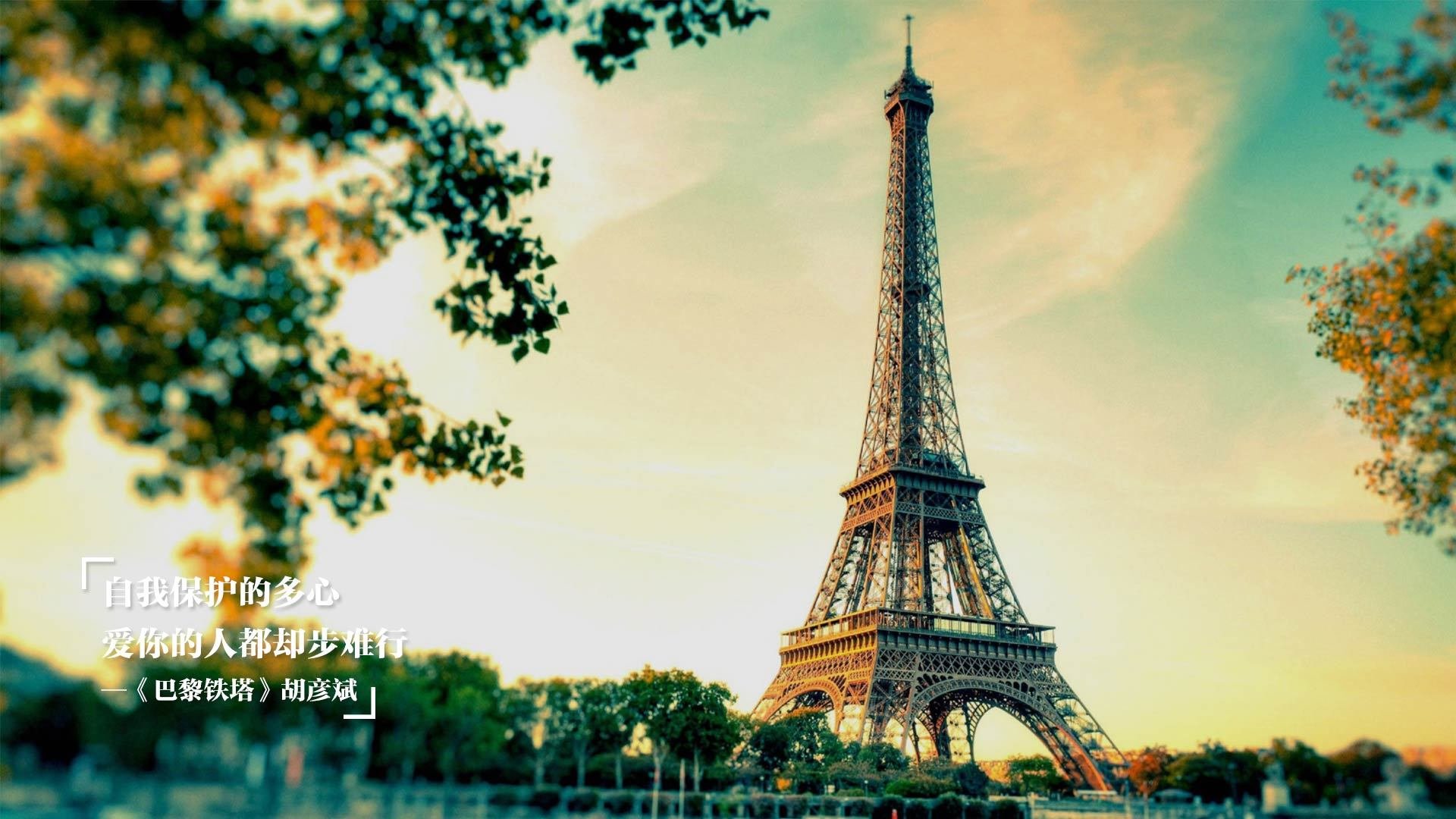 篮球专项技术动作标准化训练体系构建,篮球动作技能理论知识