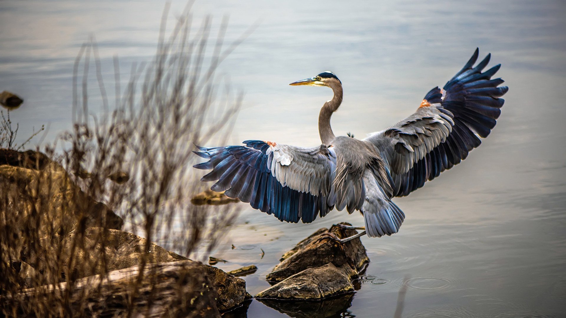 西甲裁判吹罚尺度演变对比赛节奏的微观影响，足球裁判吹哨视频