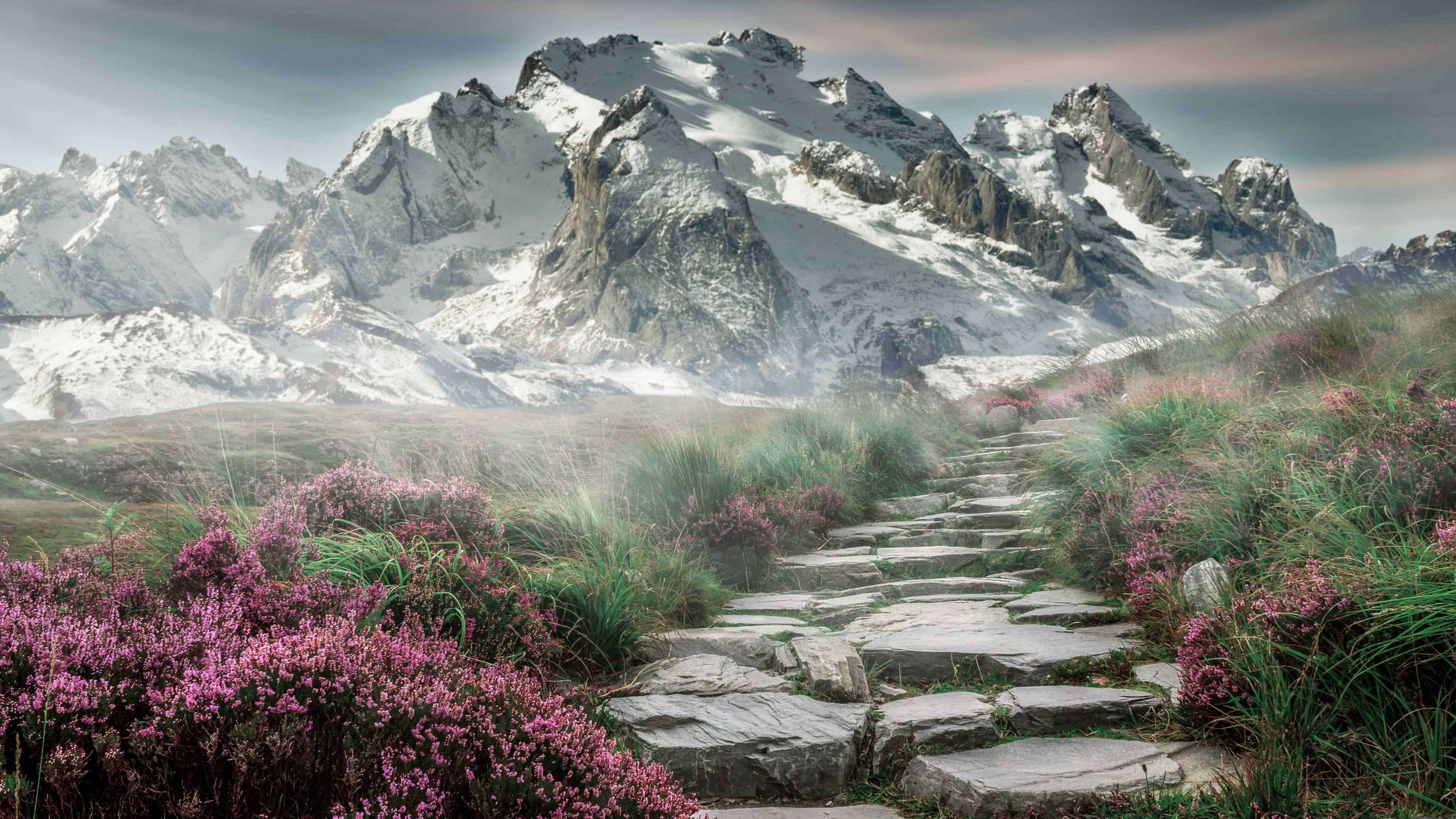 中立B选手该项目整体表现坚实