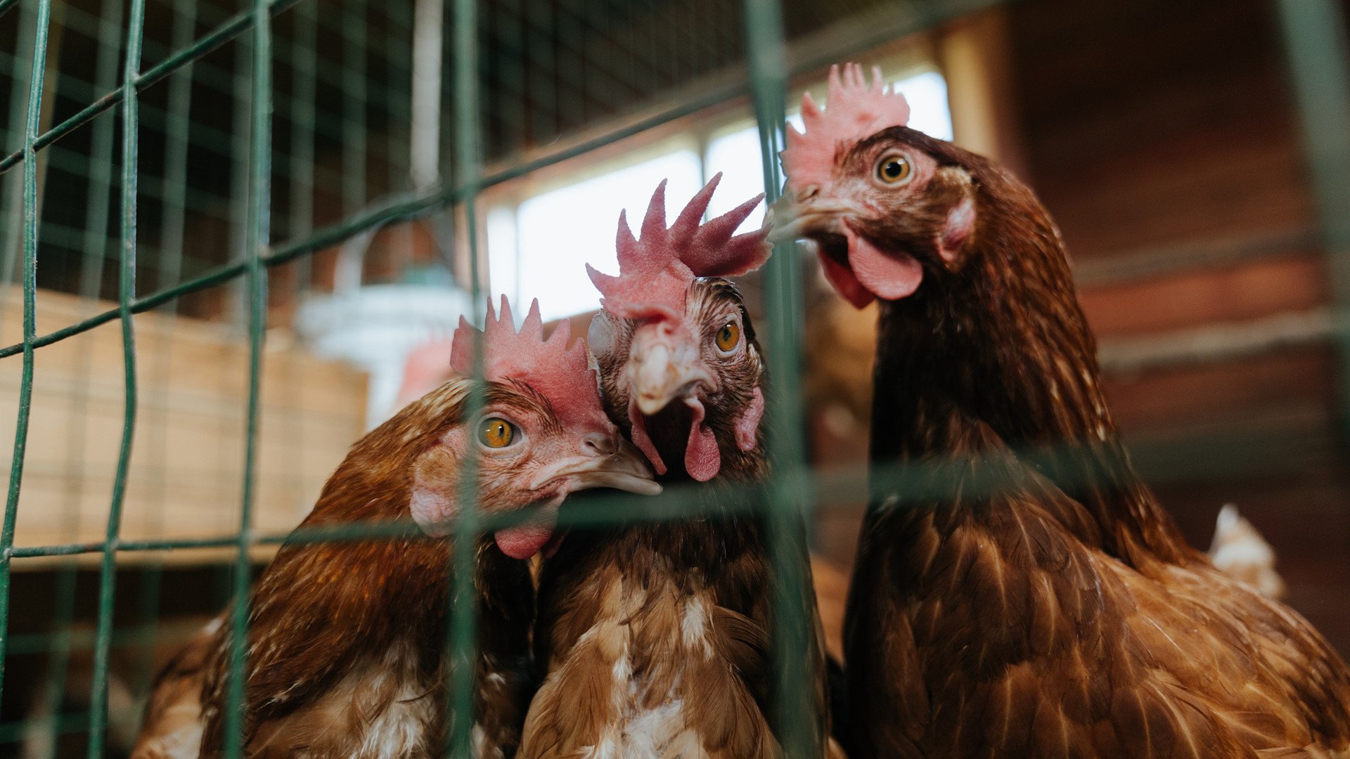 开云体育APP下载-五大联赛是否通过压制控球区域剥夺对手节奏选择权，五大联赛归谁管