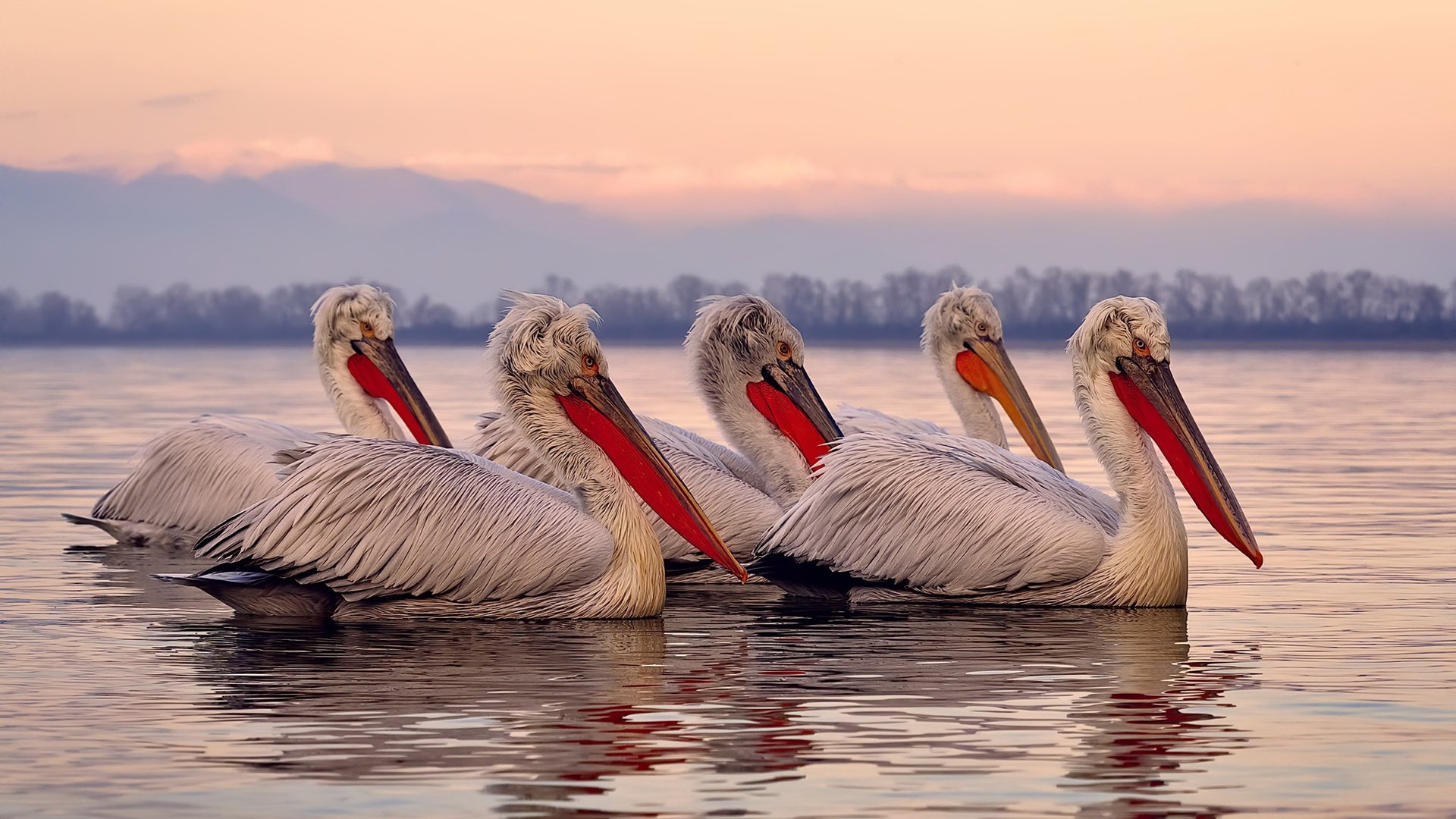 开云平台-体育器材质量监督结果优良合格率上升，体育器材质量认证