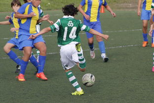 KAIYUNAPP-体育新闻中心发布体育内容原创度评估智能工具，原创体育sports