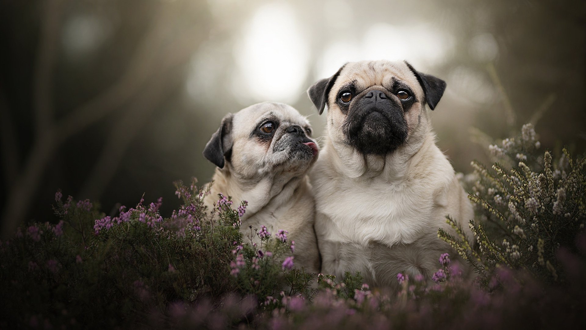 开云官方-男子仰泳破个人最佳，中国男子仰泳领军人物