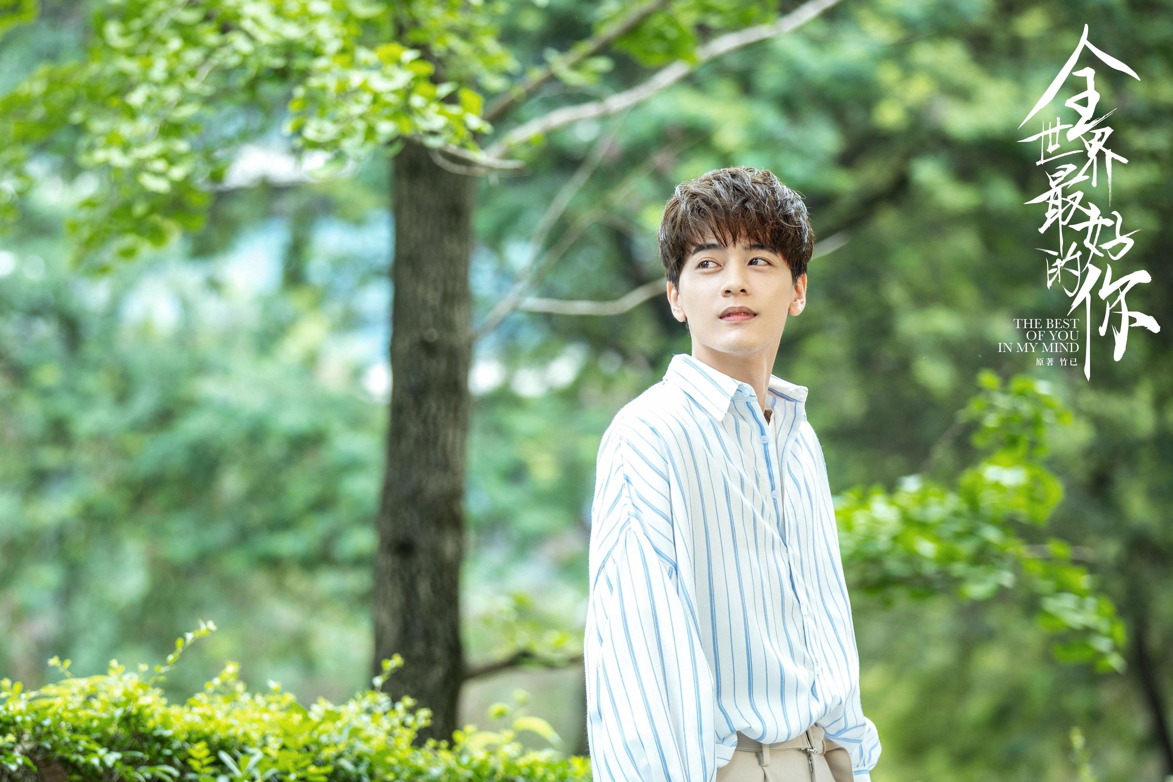 意甲团队协作:默契十足,成就辉煌!,意甲官方合作伙伴 赞助商