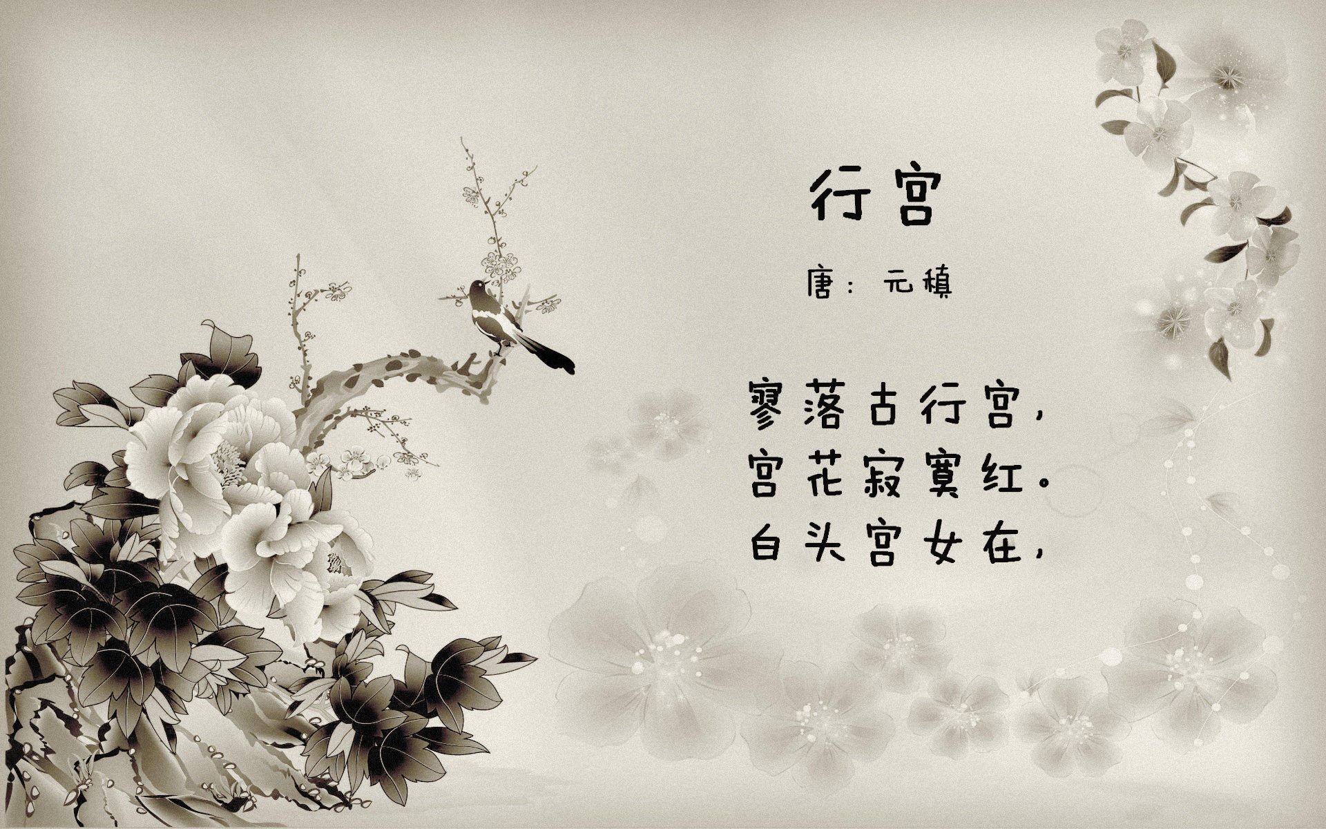 kaiyun开云·官方网站-极限滑板运动项目普及，极限滑板介绍