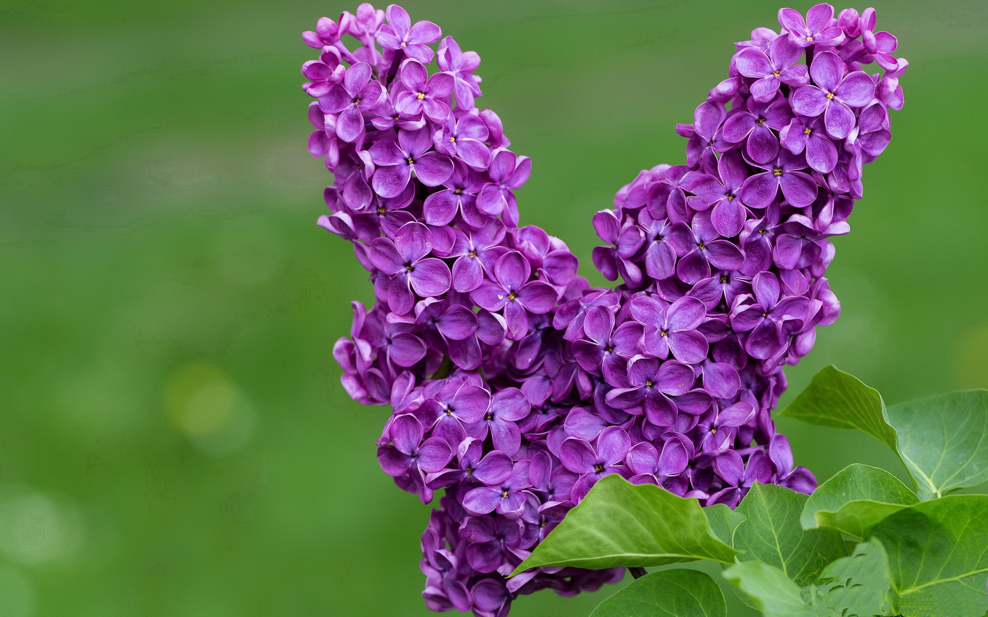 kaiyun官方网站-欧洲杯战术多变：变化变化，让你眼花缭乱！，欧洲杯战场