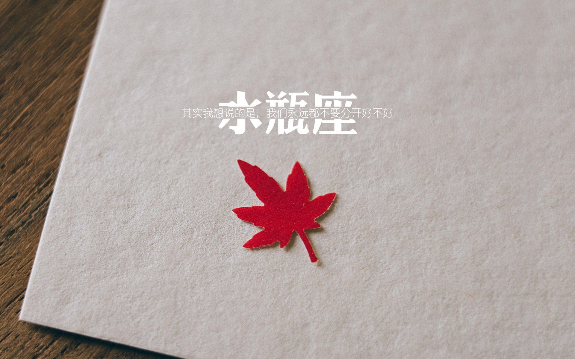 王楚钦锁定胜局乒乓球团体赛,王楚钦乒超全胜