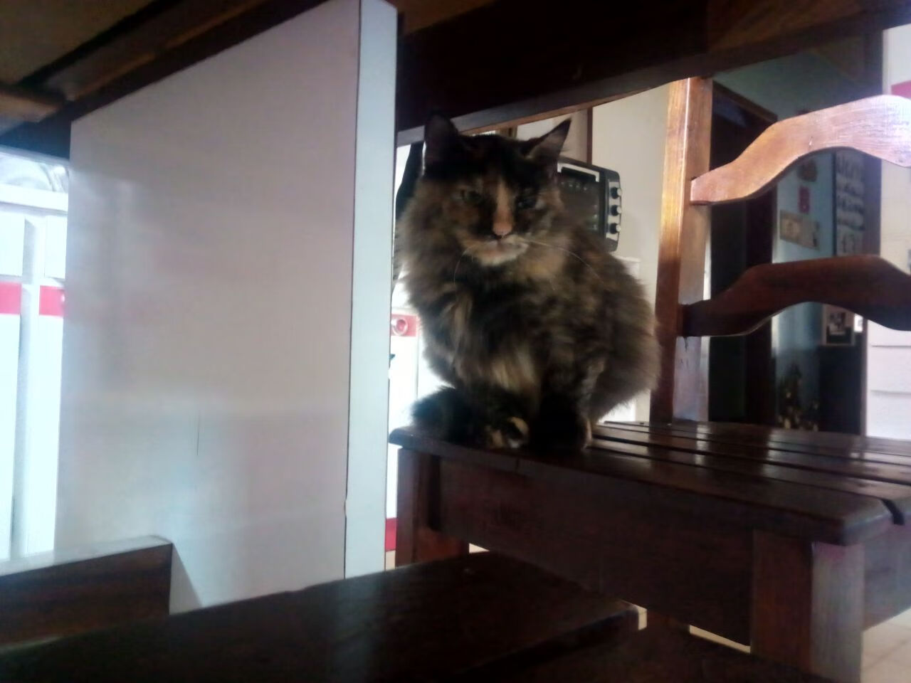 开云中国-英超联赛进入关键阶段，激烈角逐冠军