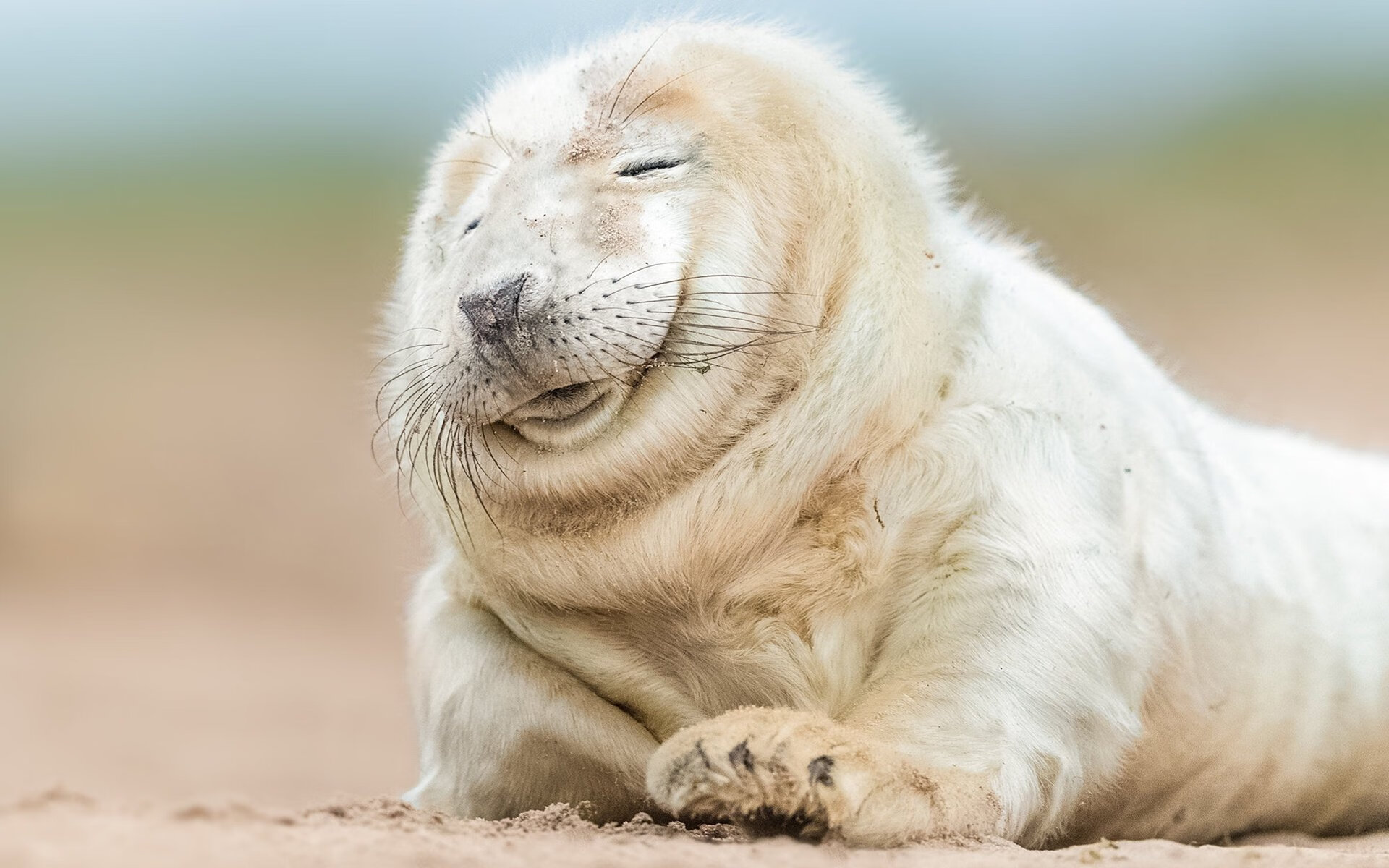 kaiyun官方入口登录-阿尔及利亚女篮在非洲锦标赛中获得佳绩，迈向国际舞台